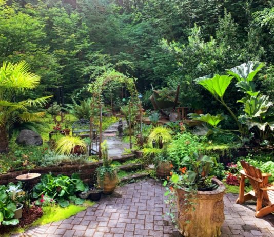 landscape gardening