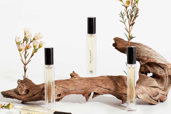 How-a-smell-eliminator-for-businesses-Supports-Better-Facility-Management